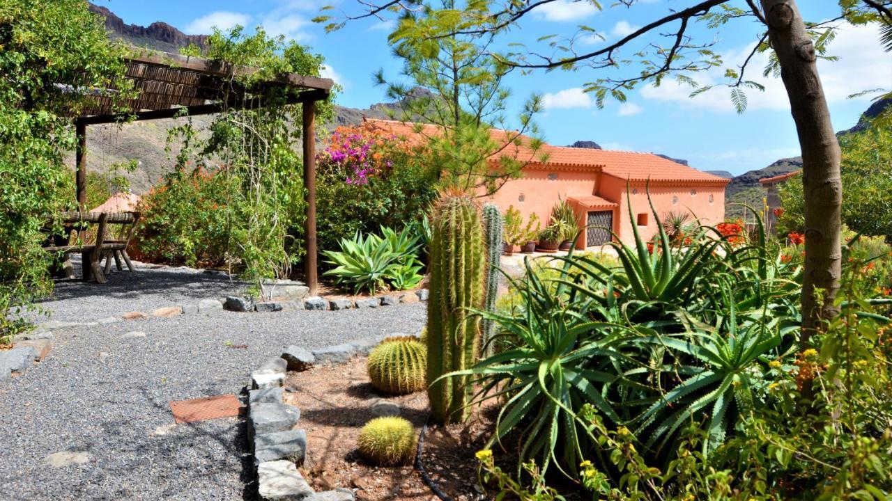 Finca Las Olivas - Unique Country House With Heated Pool Maspalomas  Exterior photo