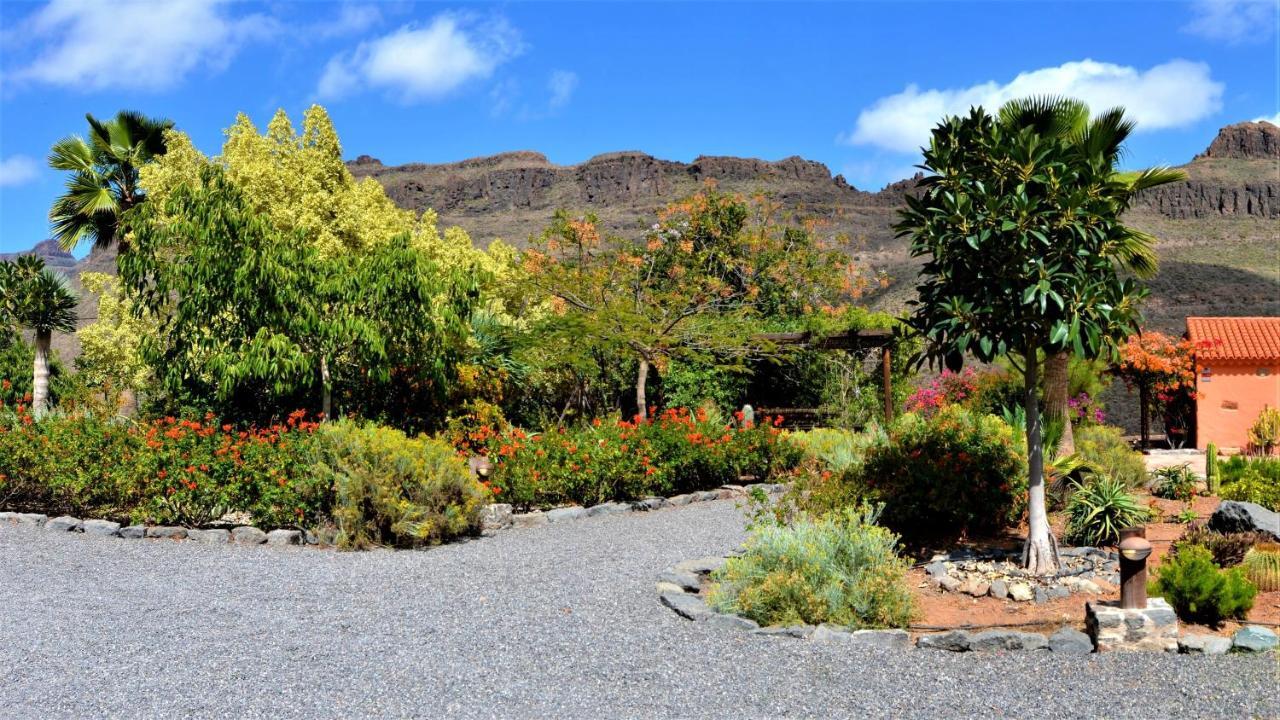 Finca Las Olivas - Unique Country House With Heated Pool Maspalomas  Exterior photo