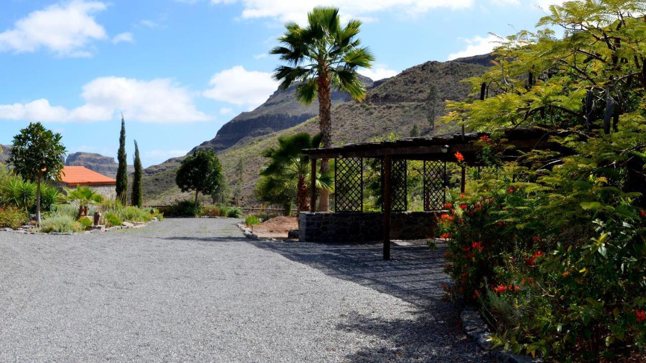 Finca Las Olivas - Unique Country House With Heated Pool Maspalomas  Exterior photo