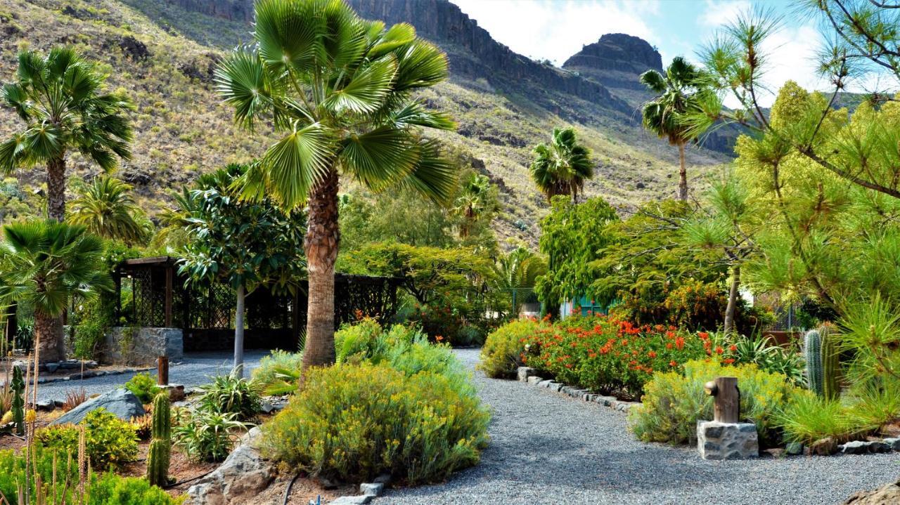 Finca Las Olivas - Unique Country House With Heated Pool Maspalomas  Exterior photo